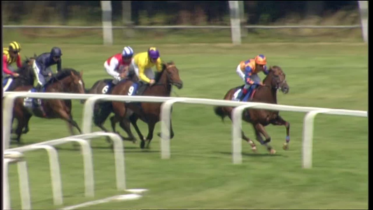 Coral-Eclipse: Best winning performances Sandown Park on Timeform ratings since 2001 📊 136 Sea The Stars 133 Golden Horn 131 So You Think 130 Ghaiyyath 130 St Mark's Basilica 129 Nathaniel 128 Al Kazeem 128 Notnowcato 128 Refuse To Bend