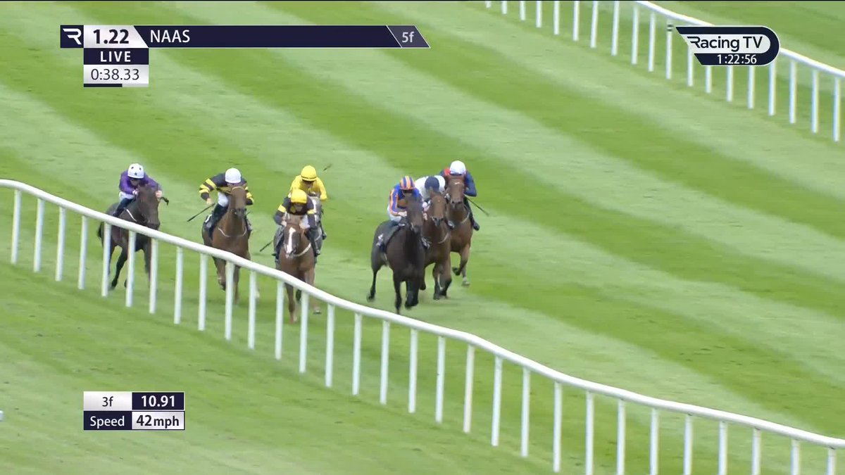 𝐂𝐨𝐧𝐜𝐨𝐫𝐝𝐞 𝐋𝐚𝐧𝐝𝐞𝐝 (13-8f) takes flight Naas Racecourse ✈️ Paddy Twomey Racing's daughter of Sioux Nation, a €200,000 breeze-up buy, dazzles on debut in the five-furlong Irish Stallion Farms fillies' maiden 💨