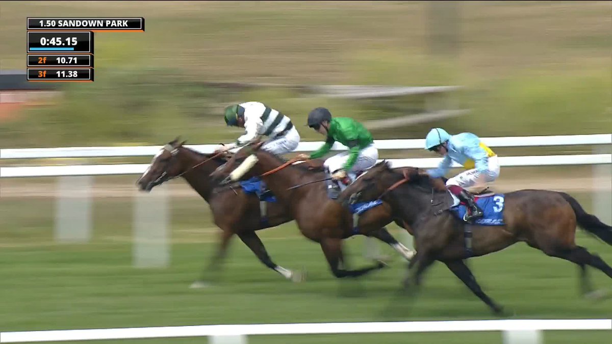 2025: Rumstar 🥇 2026: Rumstar 🥇 The first horse to win back-to-back renewals of the Coral Charge!