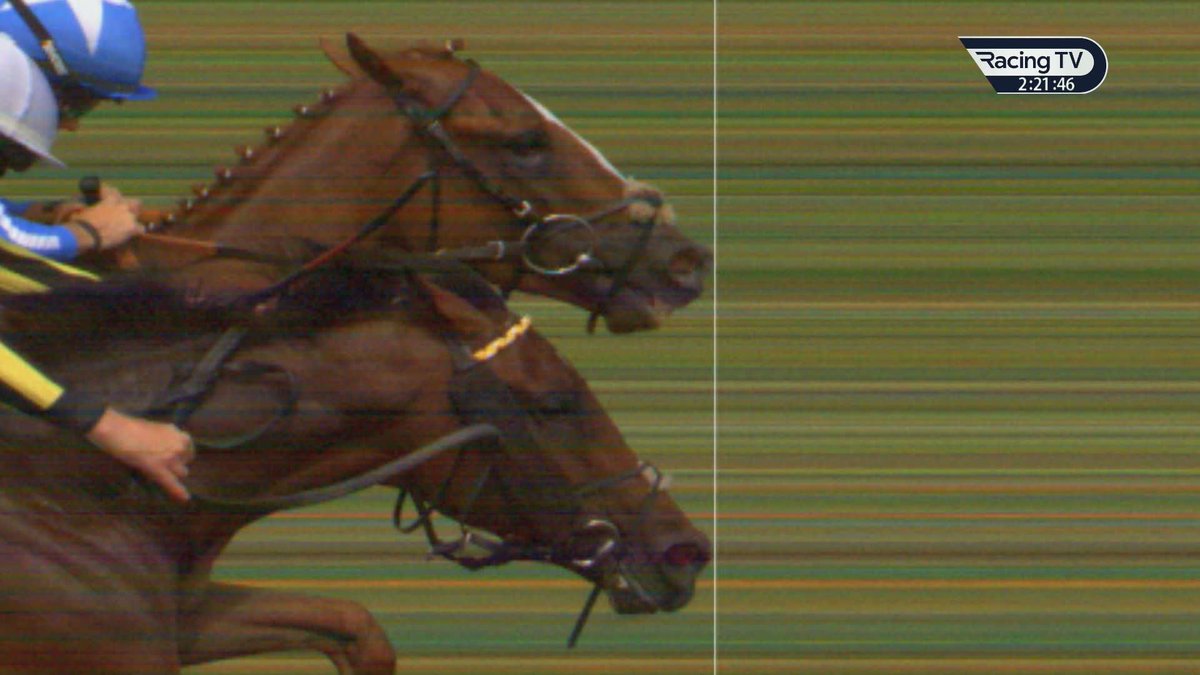 🗣️"I'm surprised they've called that." Dave Nevison and Tom Stanley assess Mythical Bay's ultra-narrow defeat of Magnetude in the £100,000 betway-sponsored handicap Newmarket Racecourses