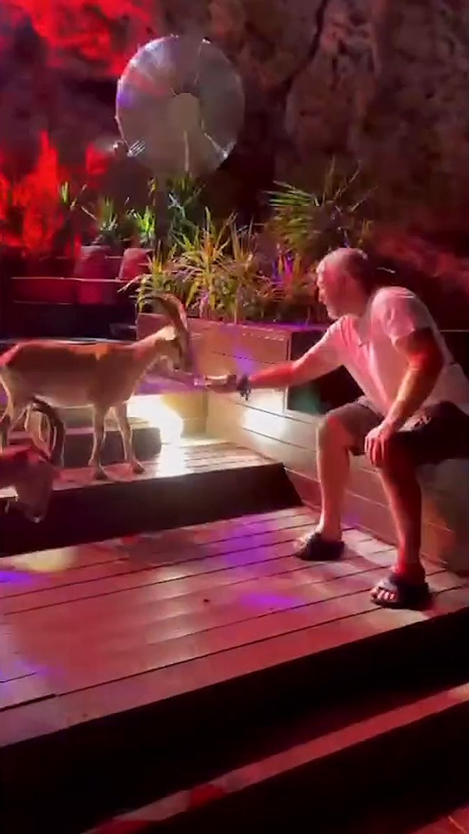 Just Alex Ovechkin hanging out with his fellow GOATs! 🐐 (🎥: IG/nastyashubskaya)