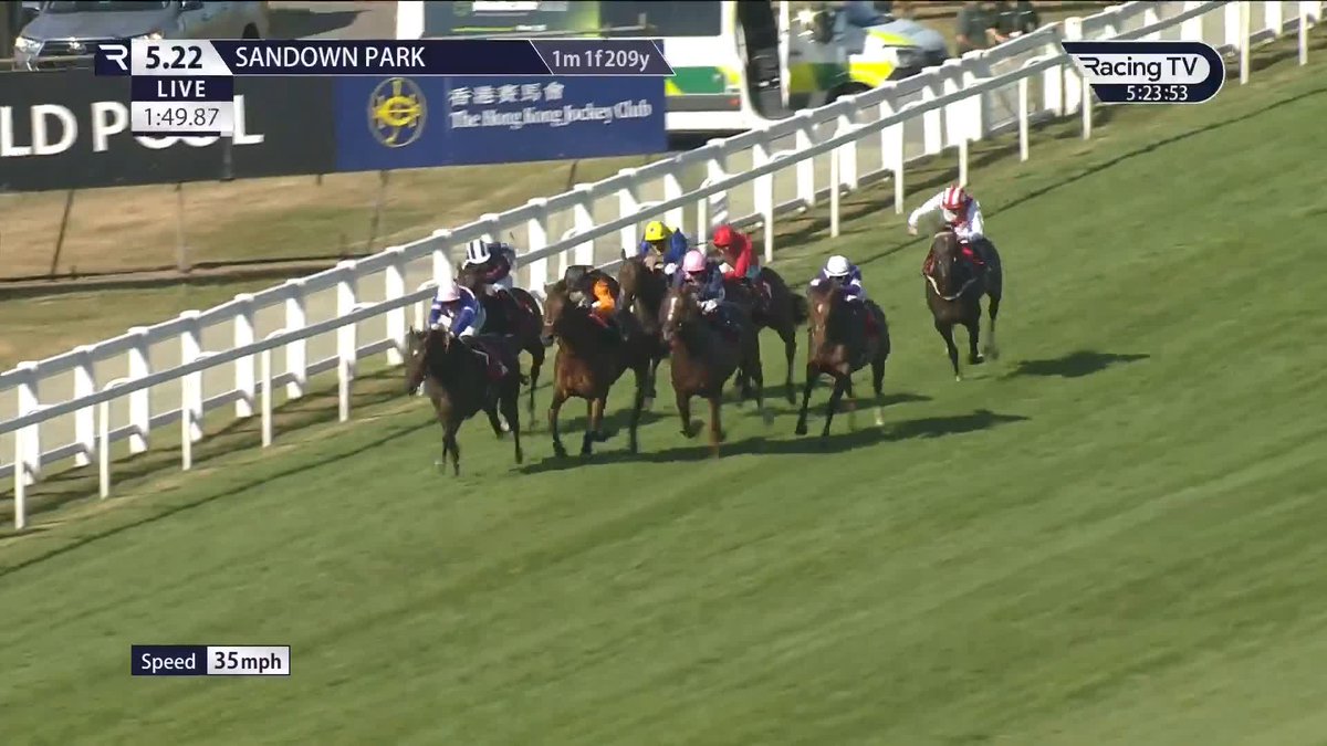 𝐒𝐭𝐞𝐦 (15-2) stars in the finale Sandown Park 💫 Richard Hannon's inmate was winning for the first time since his debut success at Newbury in September 2024 ...