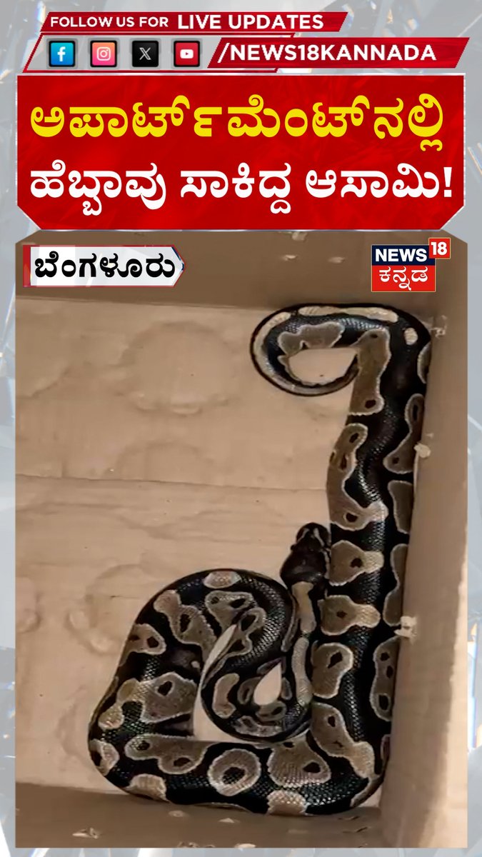 Man of Andhra orginal was having a pet Python in his apartment in Bengaluru 😄