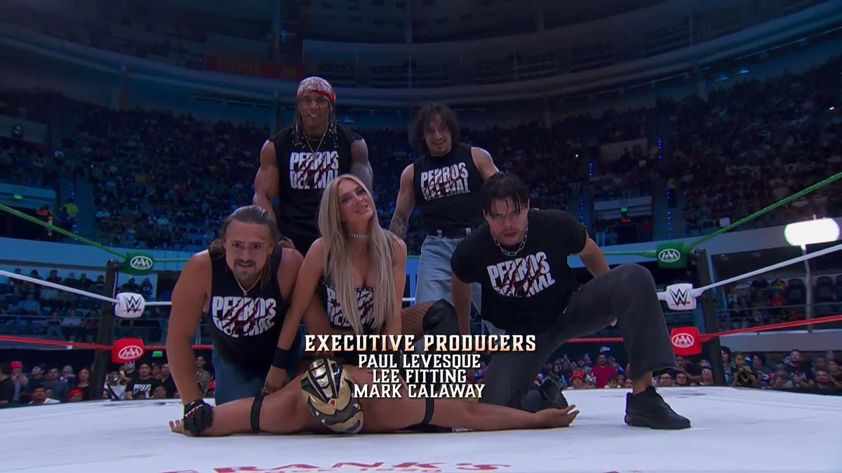 Los Perros del Mal NO PERDONAN 😰 #AAAenFOX