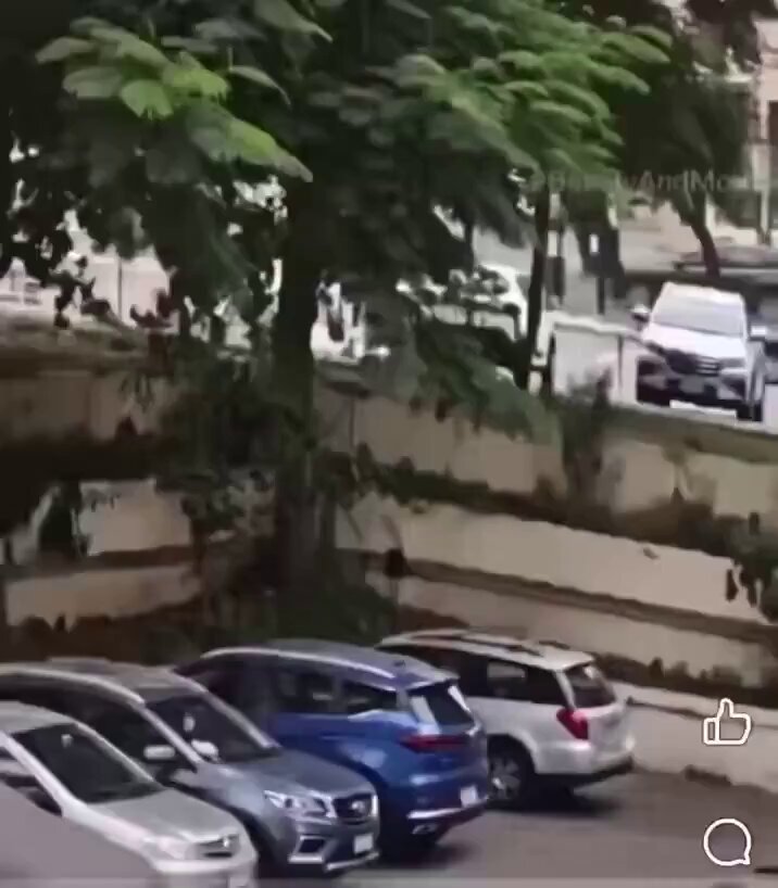 Ultimate level: parking from the sky 😱👍