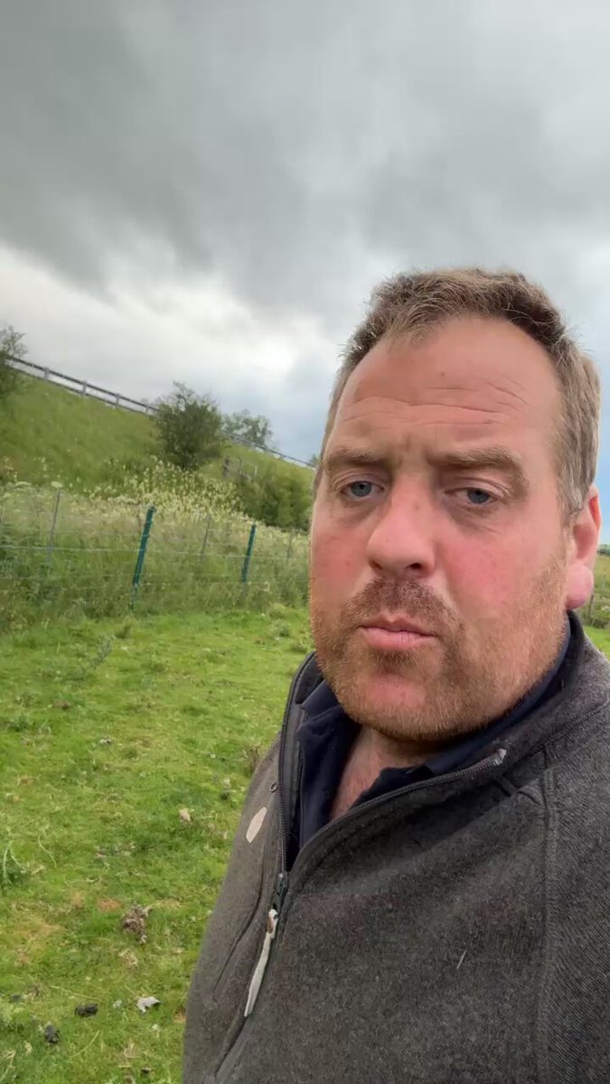 💥💥💥 Please share 💥💥💥 If you see a lamb like this stuck, rather than try find a farmer just quietly pop it out. If you can’t get it out then please let someone know. This is the worst time of year for it, the lambs still have small enough heads to push through and their horns are quite springy. Anyway, if you do see one, please do something about it. Thank you