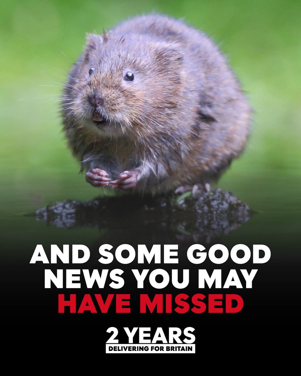 2 years of delivering for Britain. ✅ Giving farmers long-term certainty ✅ Cleaning up Britain's rivers, lakes and seas ✅ Cracking down on waste crime ✅ Bringing threatened species back ✅ Protecting pets, animals and wildlife