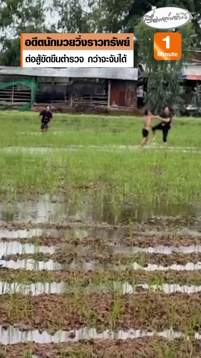 กว่าจะจับได้! อดีตนักมวยฉายา 'ด่วนเป้ ซ้ายอันตราย' วิ่งราวเงิน-พระเครื่อง หญิงวัย 77 ตำรวจตามจับ วิ่งหนีลงทุ่งนา พยายามต่อสู้ขัดขืนกว่า 1 ชม. สุดท้ายจนมุม พบยาบ้าติดตัว #เรื่องเล่าเช้านี้ #ครอบครัวข่าว3 #มหาสารคาม #อดีตนักมวย #วิ่งราวทรัพย์