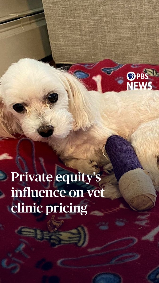 Veterinary care is becoming increasingly expensive for American pet owners. As prices rise, attention is turning to a major shift in the industry: private equity firms and large corporations buying up veterinary practices across the country. Paul Solman has the story.