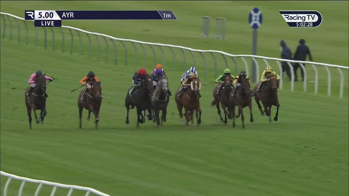 In the nick of time! Bearish gets up close home to make a winning handicap debut in the Ayr feature, and justify the long journey up from Newmarket! 🚛 Ed Dunlop Racing | Clifford Lee