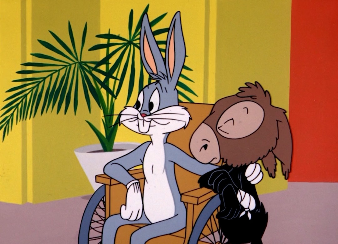 daffy duck has no luck