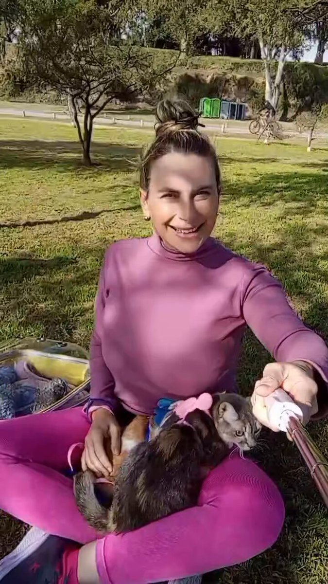 #CatsLover #cat #mundo #feliz #gatos feliz con mis gatitos ❤️❤️🥰