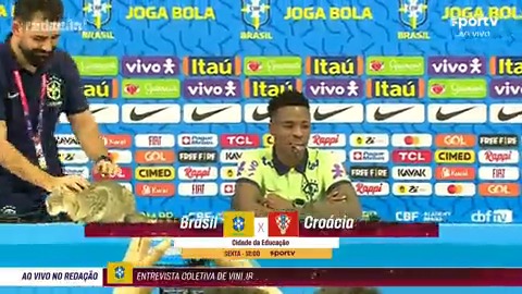 enquanto não acharem esse gato e colocarem ele de volta nessa mesa a maldição não será quebrada