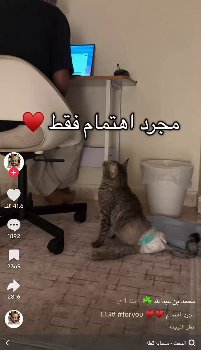 كمية محبه هذا الشخص ل هذي قطة المىشلولة يحبها حيل هذا القطة اسمها سحابة 🥹 طبعا اشوف له مقاطع له قطط بس محبته ل سحابة اشوفها غير ❣️ شوفوا وهو يتشغل وحاطه عنده وكل ما يسوي شغله ياخذ منها جرعة نشاط🌷