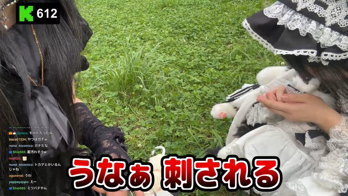 うなぁ さん しすたーさんとコラボ配信中に蜂に刺される 四つ葉のクローバー マックで2222 Kick #うなぁ #しすたー