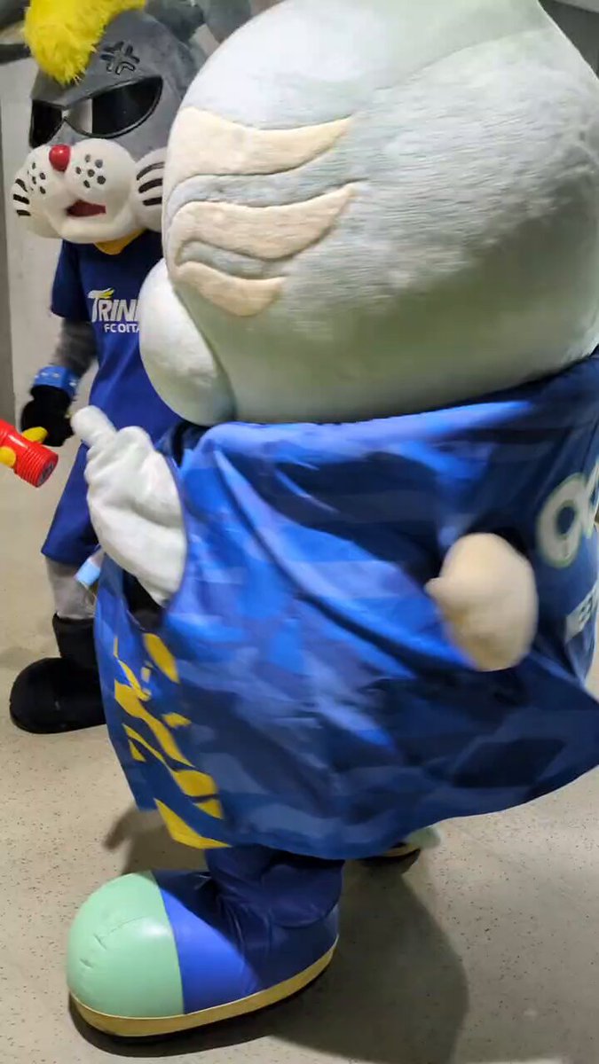 タイミングを逃しちゃってた堅心せんしゅとの再会の動画、今日ならまだアップしても大丈夫かな？？ 次に会った時もびっくりさせるくらい元気いっぱいに飛びついちゃうぞ〜( ꜆⌯' '⌯)꜆♡