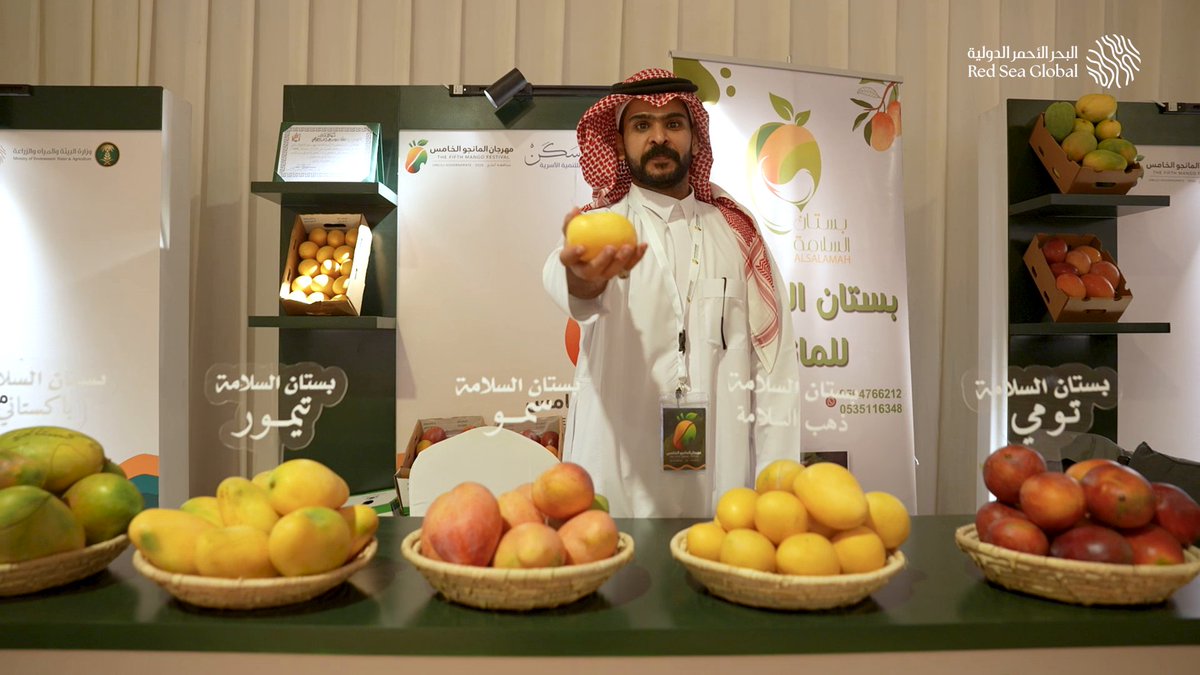 أربعة أيام من البهجة اختُتمت بها فعاليات #مهرجان_المانجو الخامس 🥭 في محافظة أملج، بمشاركتنا راعياً استراتيجياً، دعماً للمزارعين والأسر المنتجة، واحتفاءً بخيرات أهالي مناطق البحر الأحمر.