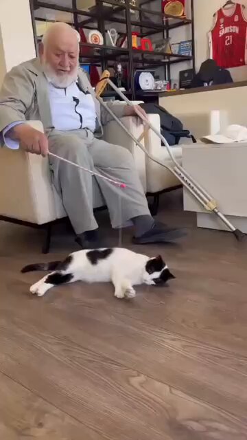 91 yaşındaki Ahmet Amcamız bu sabah dayanışmaya geldi. Zeytin’le oyun oynarken sorduk, Mutlak Butlan hakkında ne düşünüyorsun diye. Cevabı nettti: “Çok sahtekarlık var, Kılıçdaroğlu AKP’ye çalışıyor. Niye yaptı bunu, AKP’ye yardım etmek için yaptı bunu.” 91 yaşında birinin bu kadar net görmesi, bizim için en büyük moral kaynağı. #MutlakButlan #Samsun #CHP