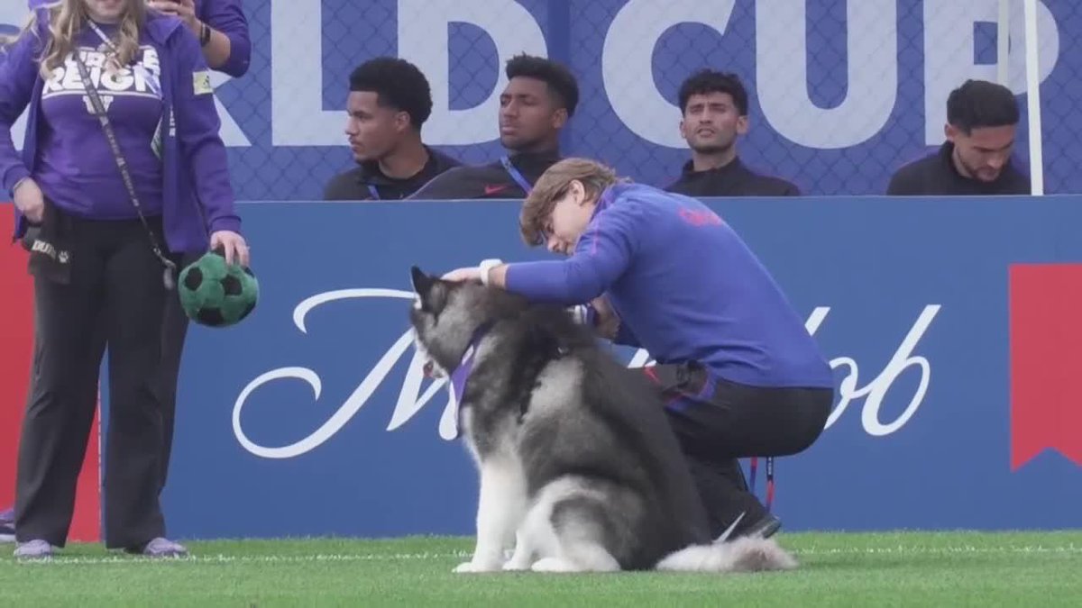 ¡DE LO MÁS TIERNO QUE VERÁS EN EL DÍA! Mauricio Pochettino pasó un hermoso momento junto a este perro en la práctica de los Estados Unidos previa al duelo ante Bélgica. ⚽ #ESPNMundial 📺 Mirá los mejores partidos de la #FIFAWorldCup por ESPN, en el Plan Premium de #DisneyPlus