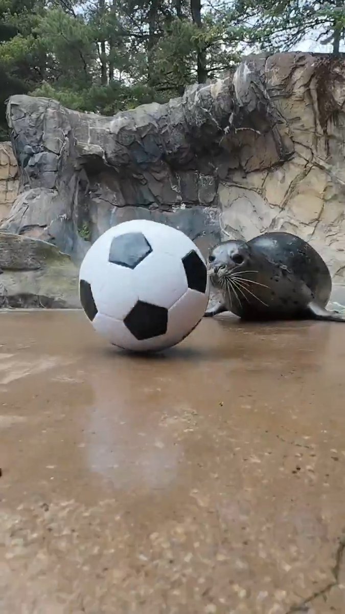 Let's just say if a certain soccer team needs backup today, they're READY 🇺🇸 ⚽