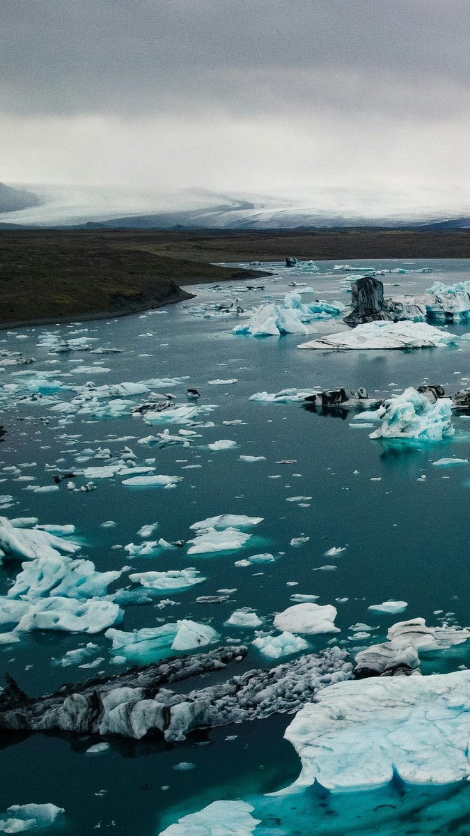 Many people are worried about climate change leading to human extinction. But even the experts who are worried … aren’t THAT worried.
