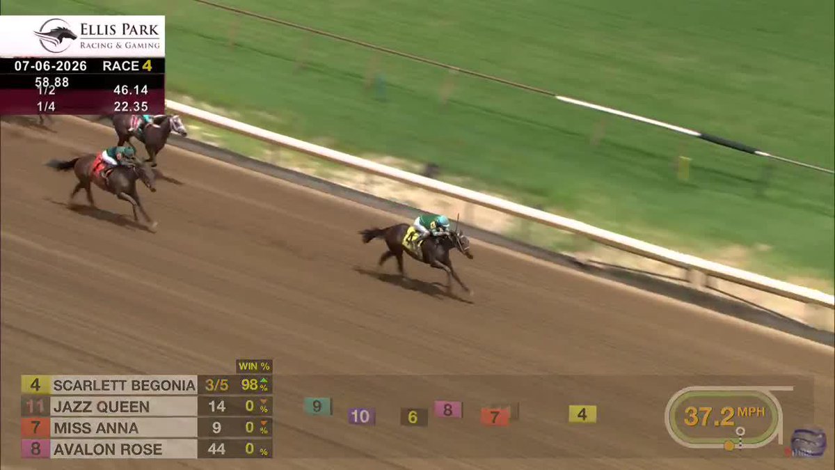 𝗦𝗖𝗔𝗥𝗟𝗘𝗧𝗧 𝗕𝗘𝗚𝗢𝗡𝗜𝗔 puts on a much the best debut performance Ellis Park Racing & Gaming. Luan Machado piloted the 2-year-old son of WinStar Farm stallion Life is Good for trainer Brad H. Cox Racing. #TwinSpiresReplay