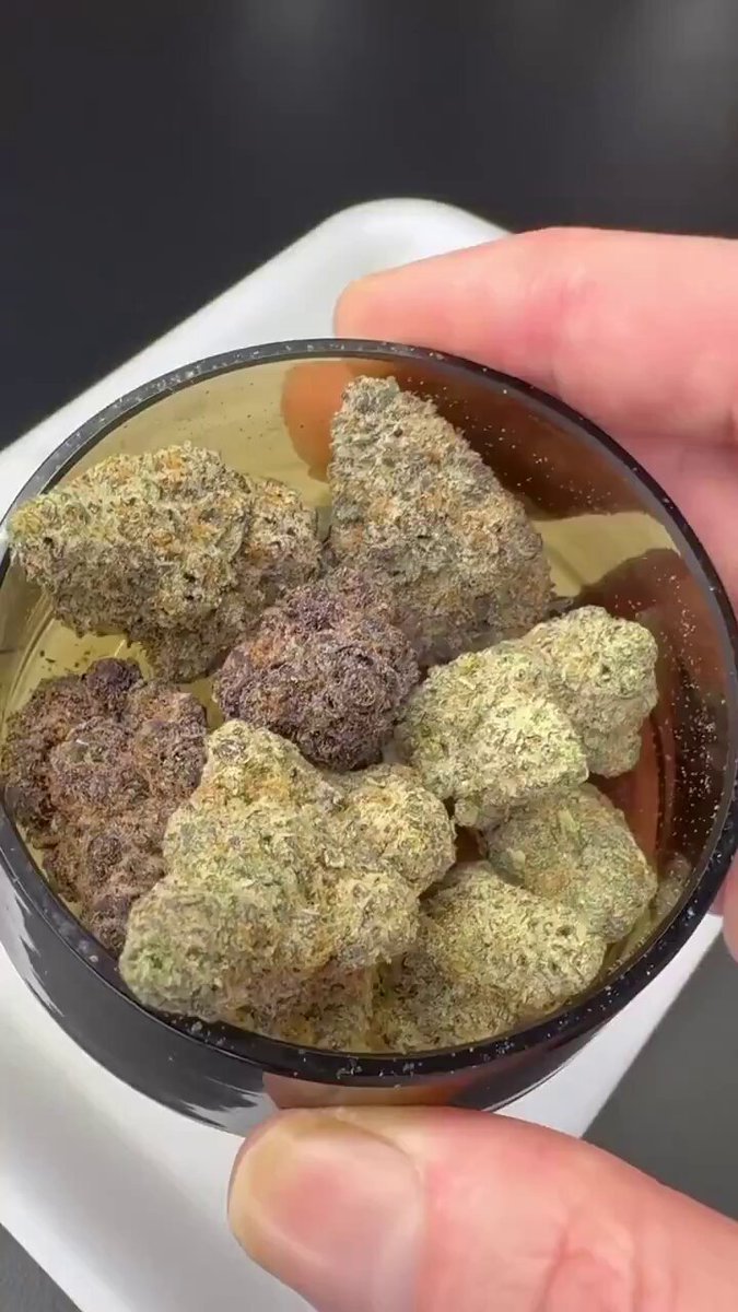 Triple Layer Hash-Hole 🍯🔥