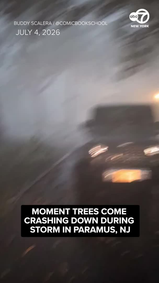Terrifying video captures the moment trees came crashing down onto a street in Paramus, New Jersey, just steps from where a couple was filming from inside their garage.