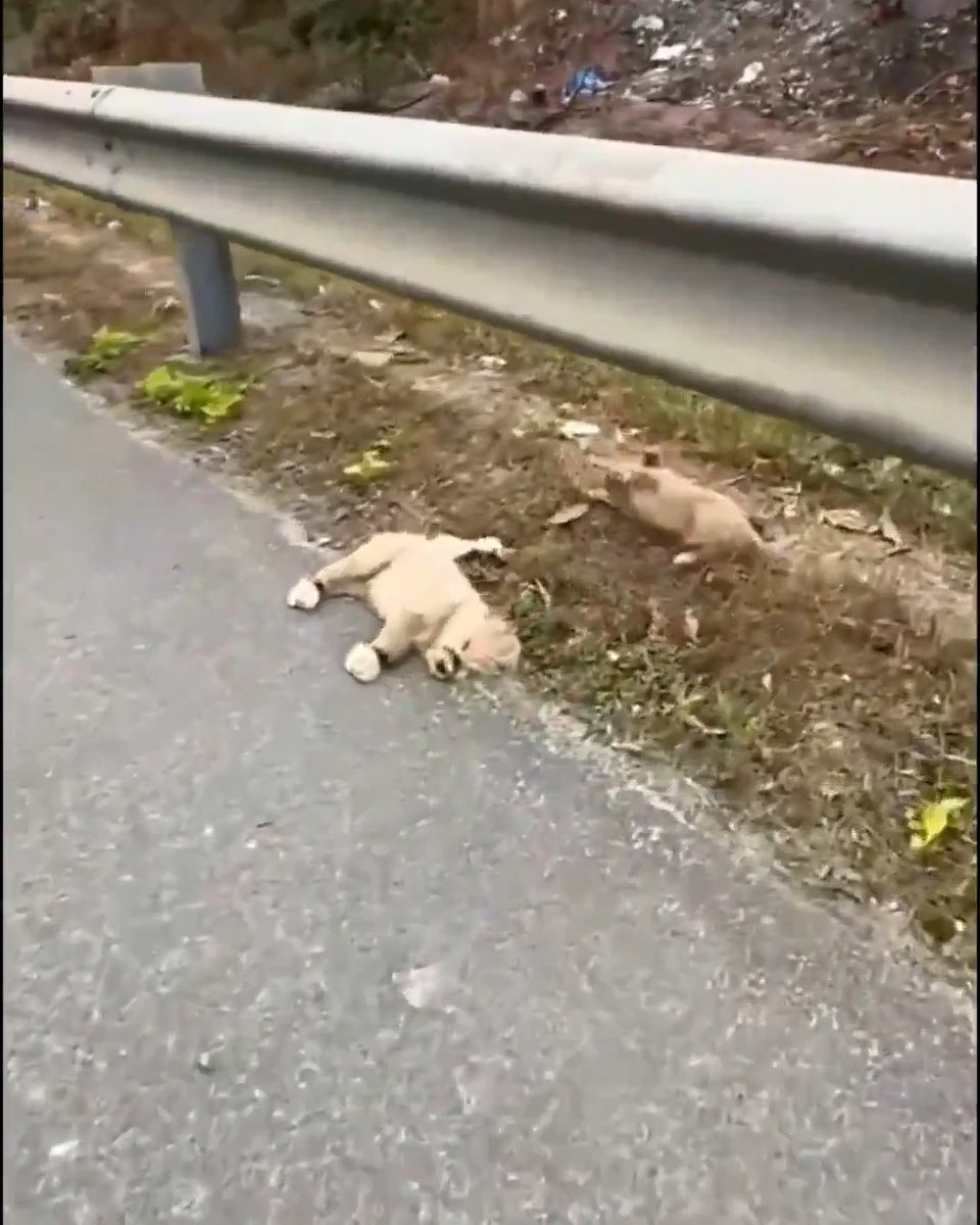 İyi insanlar cennete gider değil; iyi insanlar nereye giderse orası cennet olur.