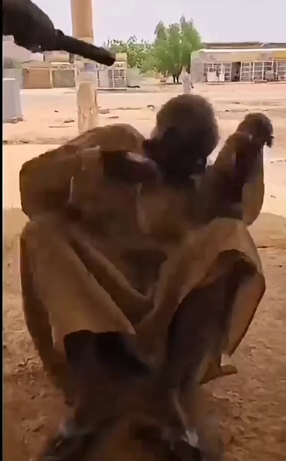 هل المواطن ياسر عوض، أخد حقو الخاص من البطل القومي العائد لحضن الوطن إبراهيم بقال؟