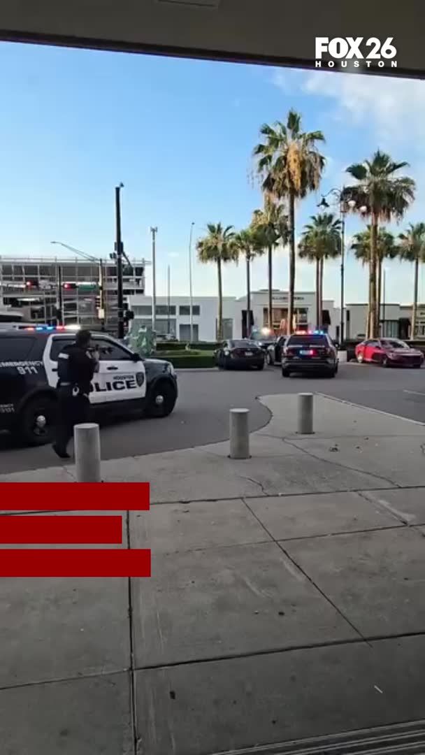 Officials stated an officer ran a plate on a Black sedan-type vehicle in a parking lot after police received multiple calls on it with a Black male inside. Authorities said the officer called for backup as the vehicle came back stolen out of Fort Bend County. After multiple officers arrived, police said the Black male, who officials believe was the only person inside, was given multiple commands by officials to exit the vehicle to conduct an investigation. Authorities said the Black male, who was approximately 35-years-old, did not comply with those commands. Houston police stated a team of officers then began to approach the vehicle when the driver's side door opened up, the Black male inside made a movement as to show officers he had a potential weapon. That's when shots were fired by officers on the scene.