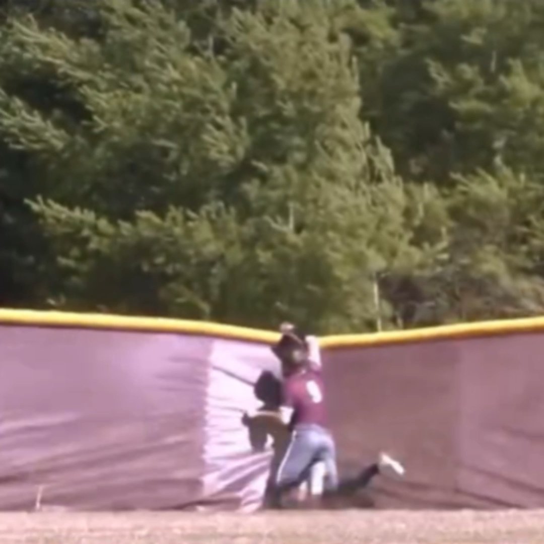 The pitcher walked off like he knew the CF was about to make a sportscenter top 10 robbery 💀