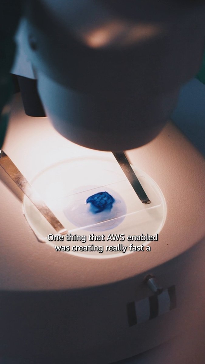 Cambrium is pioneering the future of chemical manufacturing by designing novel material building blocks using biotechnology and AI. Their infrastructure, built with AWS and NVIDIA, enabled early-stage simulation of potential failures. They streamlined development and ensured every step in real-world manufacturing succeeded on the first try. This helped Cambrium go from concept to market in under two years.