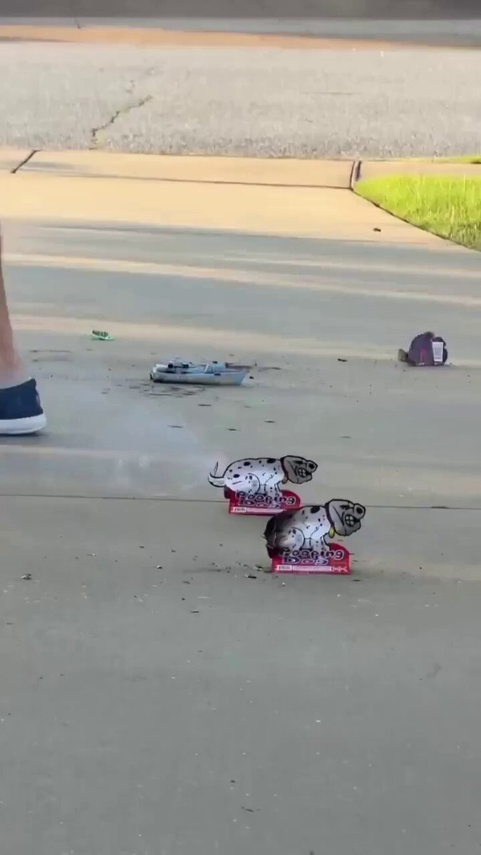 the perfect firework does not ex..... .. tell Catturd 🤣