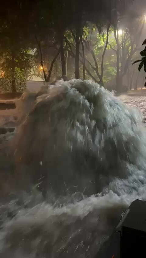 En Bosques de las Lomas. Hoy. Un horror.