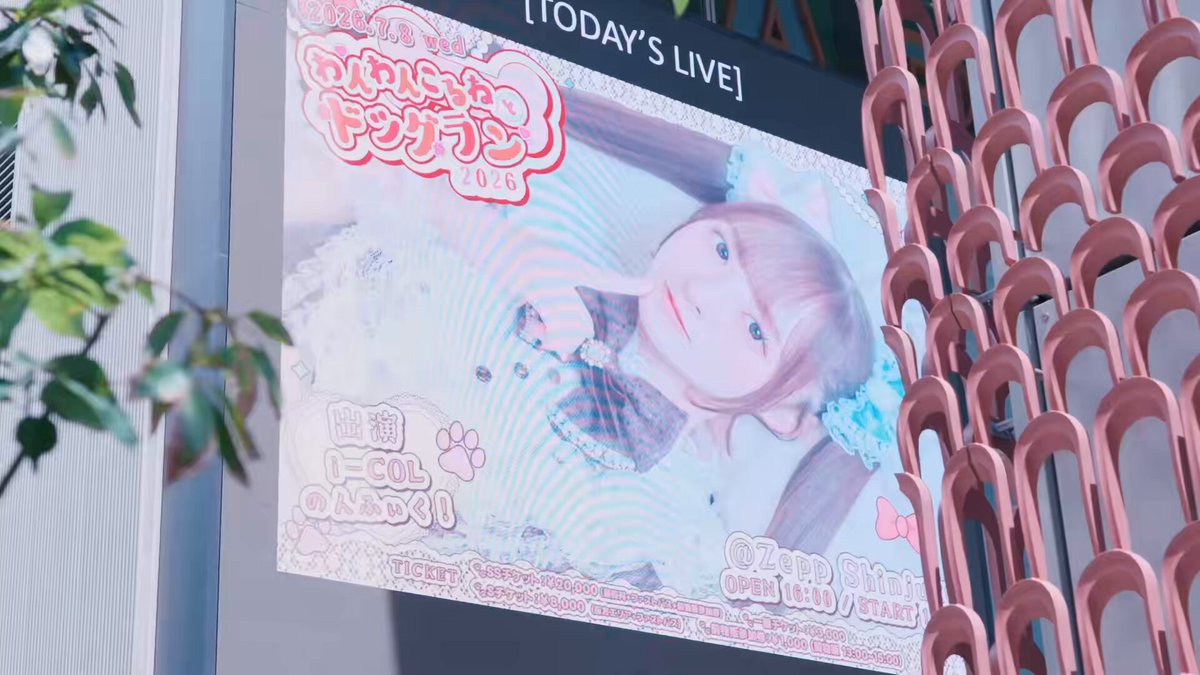 こるね生誕祭2026🐶みんなのおっきな声がいつもこるねの力になってるよ♡ こるねはわがままだからみんながこれからもこるねを見ててくれないと固い床ででんぐりがえししちゃうからね！今日は幸せな1日を一緒に過ごしてくれてありがとう♡愛情倍返しだー！！！ #祝こるねちゃん様レベルアップ