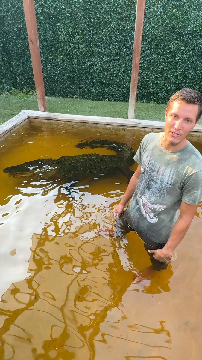 Florida man in the Everglades explains why this alligator won't attack him