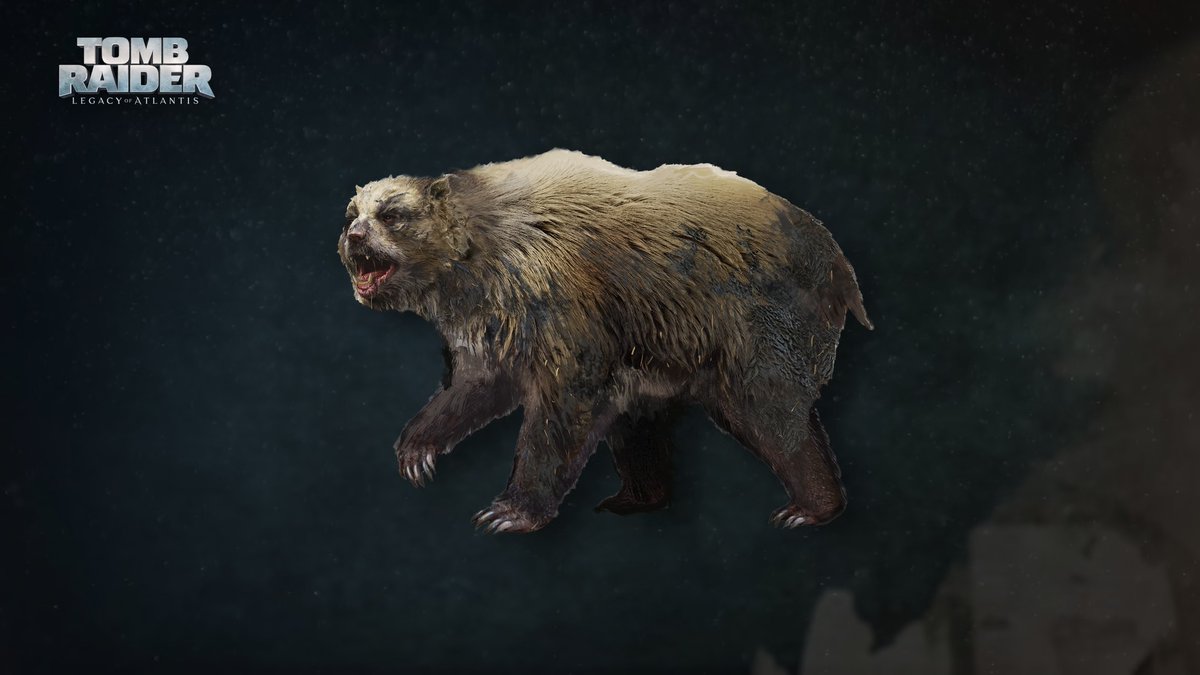 New surprises await when you encounter the bear 👀