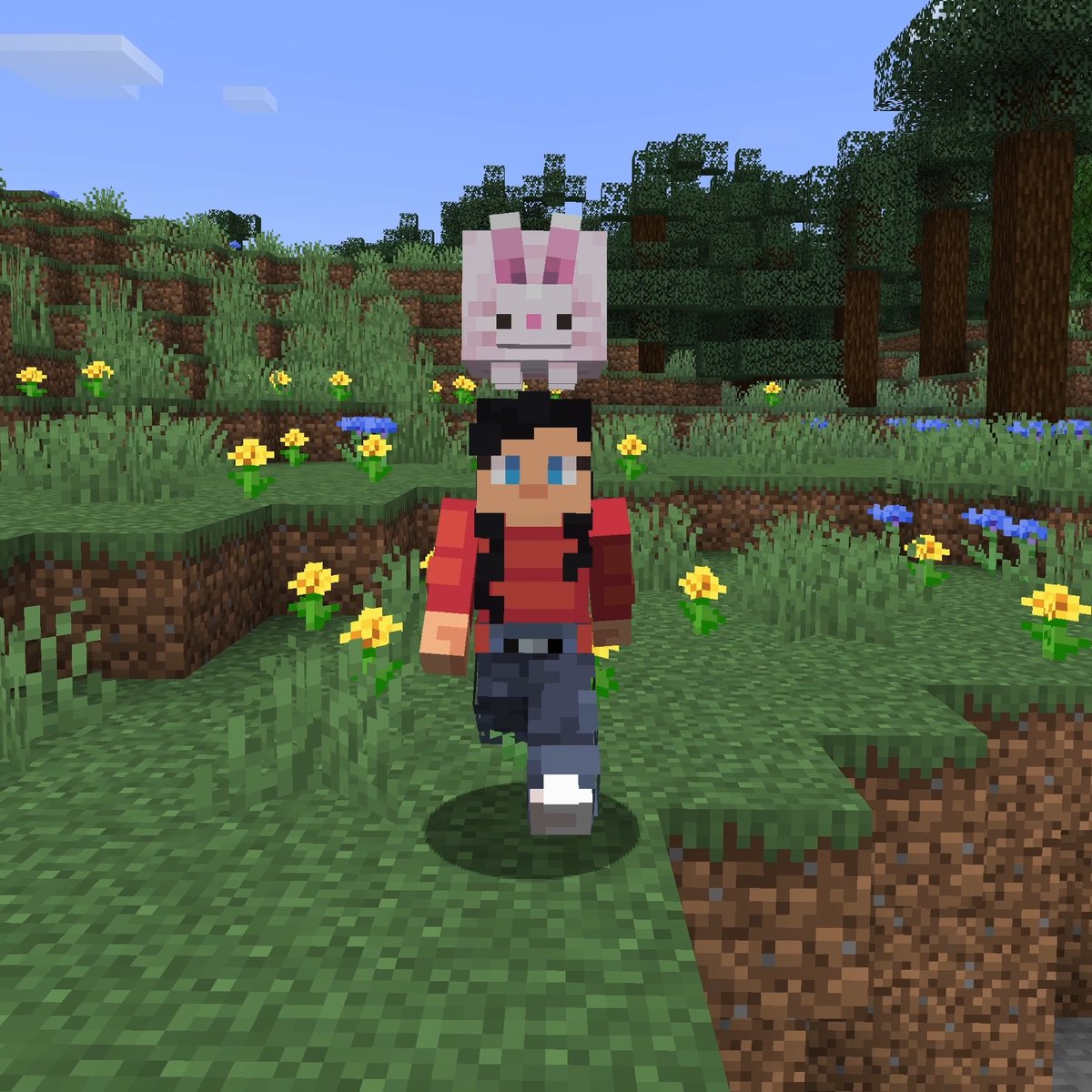 It's so fluffy im gonna fly!