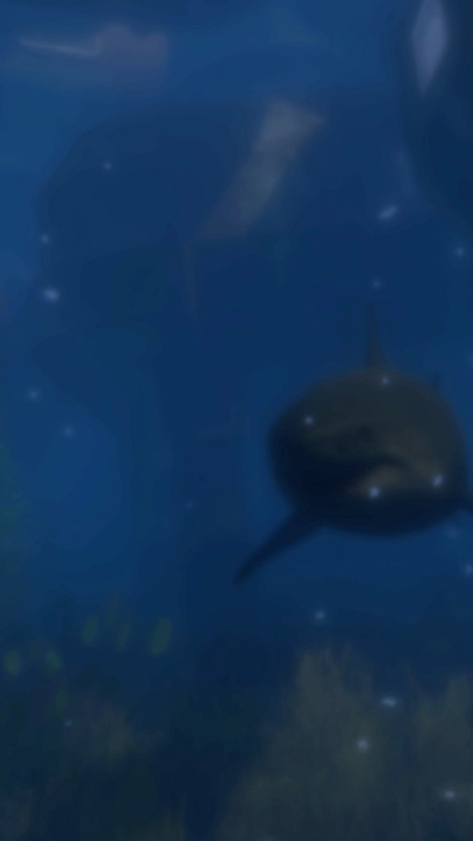 Hammerhead Veteran, surfacing soon! 🦈 #SharkWeek