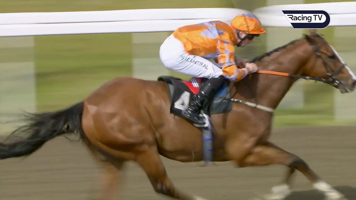 Documenting is a 12-time winner for Kevin Frost Racing - and picked up for just £1,000. £4,000 buy Surf And Turf won the Red Rum and went up 30lb in the handicap. Shopping from the bargain rail isn't easy but all the better when it pays off! #ThisRacingLife