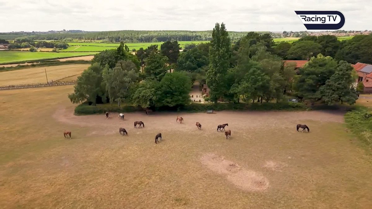 Charles and Adam Pogson hit £100k in prize money last season and for the first time, despite having had no more than seven in training at any one time. Adam explains the set-up and shows us around the Farnsfield yard near Sherwood Forest #ThisRacingLife