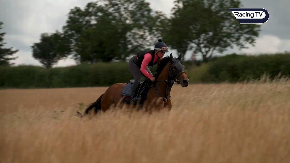 "They have a nice life, we feed them well - treat them a little bit like pets too much maybe!" Trainer Michael Herrington Racing is enjoying a fantastic time of things - easy to see why looking at the horses and where they call home! #ThisRacingLife