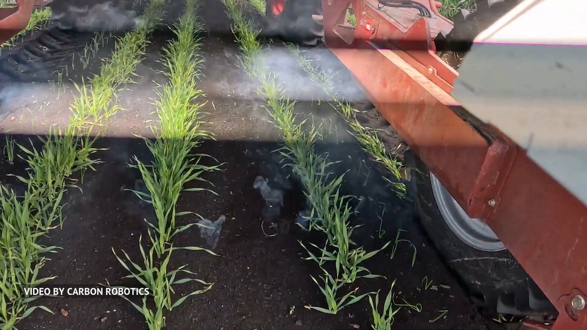 Autonomous weeding robot using AI vision to detect weeds among young crops and eliminates them instantly with targeted high-precision laser pulses. Real-time on board GPUs map every plant position and directs lasers precisely at weeds Carbon Robotics