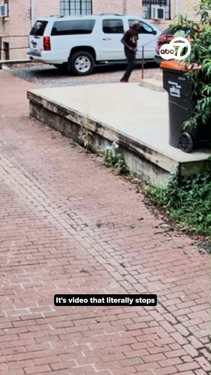 It's video that will literally stop you in your tracks: a suspect was caught on camera slashing tires on multiple vehicles in an alley in D.C.'s Georgetown neighborhood on Tuesday, according to D.C. police. #wjla #georgetown #washingtondc