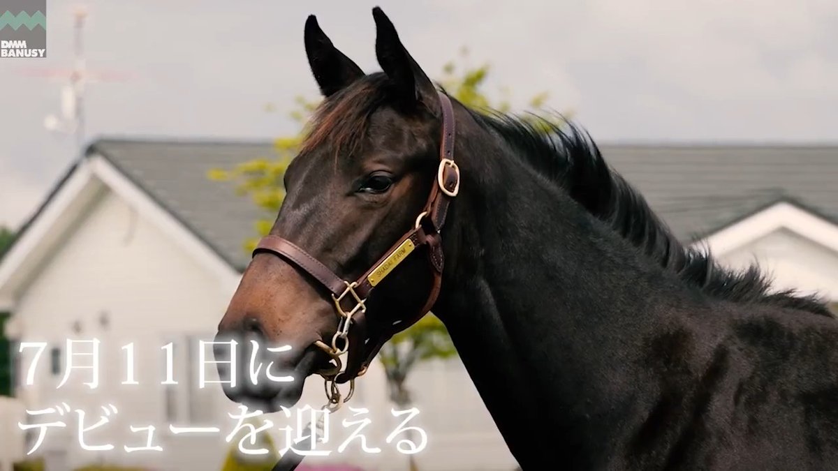 DMM バヌーシー フラッシングルビー が 7月11日(土) 小倉競馬場 第5レース 2歳新馬 (芝1800m、牝馬限定、12:20発走)でデビューします！ デビュー戦の前にスペシャル動画をぜひご覧ください！ #BanusySpecialMovie