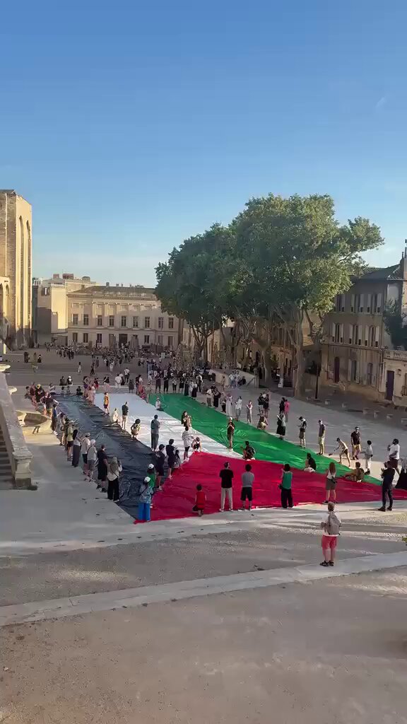 Bravo Avignon Ne détournons pas le regard !