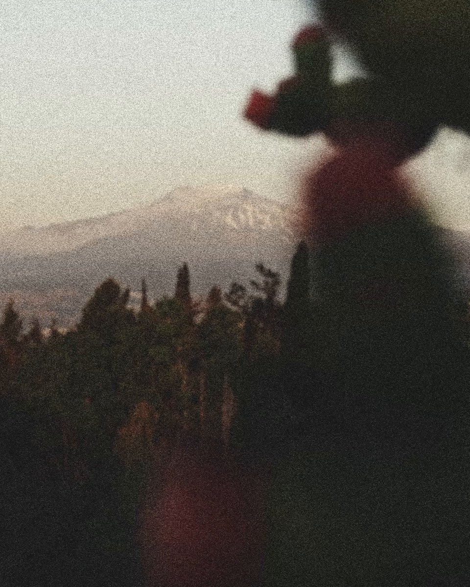 A land shaped by beauty and history. Sicily is the enduring source of inspiration for #DolceGabbana. The place where everything began sets the scene for the #DGAltaGioielleria, #DGAltaModa and #DGAltaSartoria events, where unique creations come to life amid breathtaking landscapes and cultural heritage. Follow the events at #DGFattoAMano