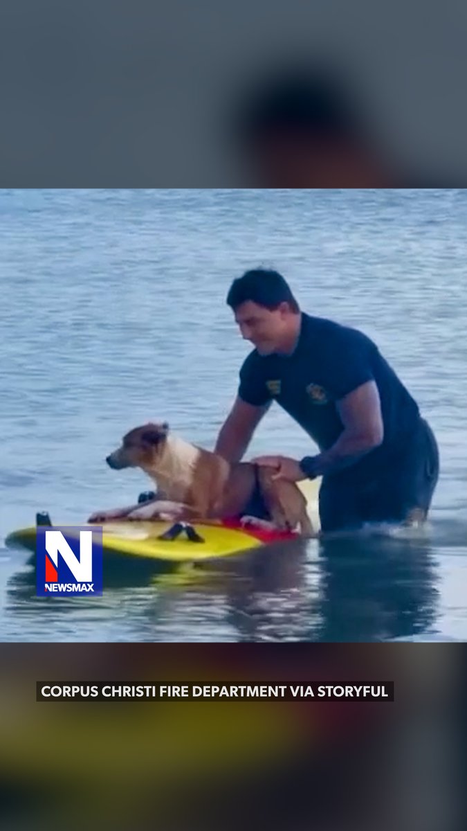 RUFF RESCUE: Firefighters raced to rescue a stranded dog in Corpus Christi Bay, Texas, on Monday. A member of the Corpus Christi Fire Department paddled out and brought the pooch safely back to shore.