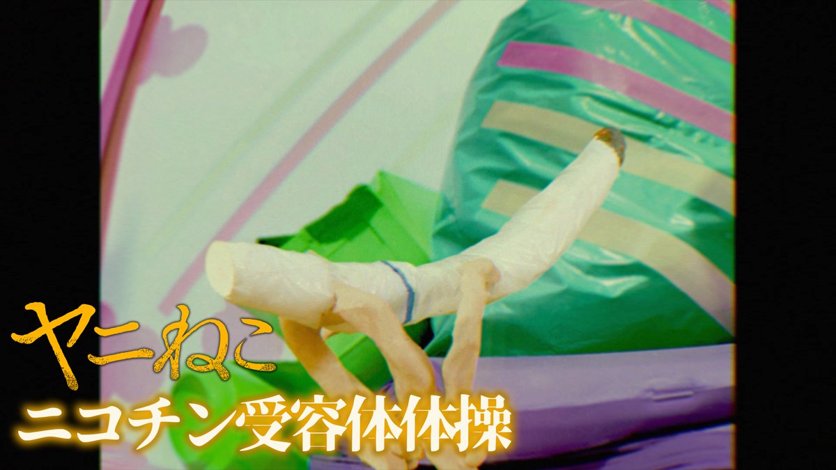 はあ どっこいどっこい。 #ヤニねこ